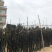 无沙海带