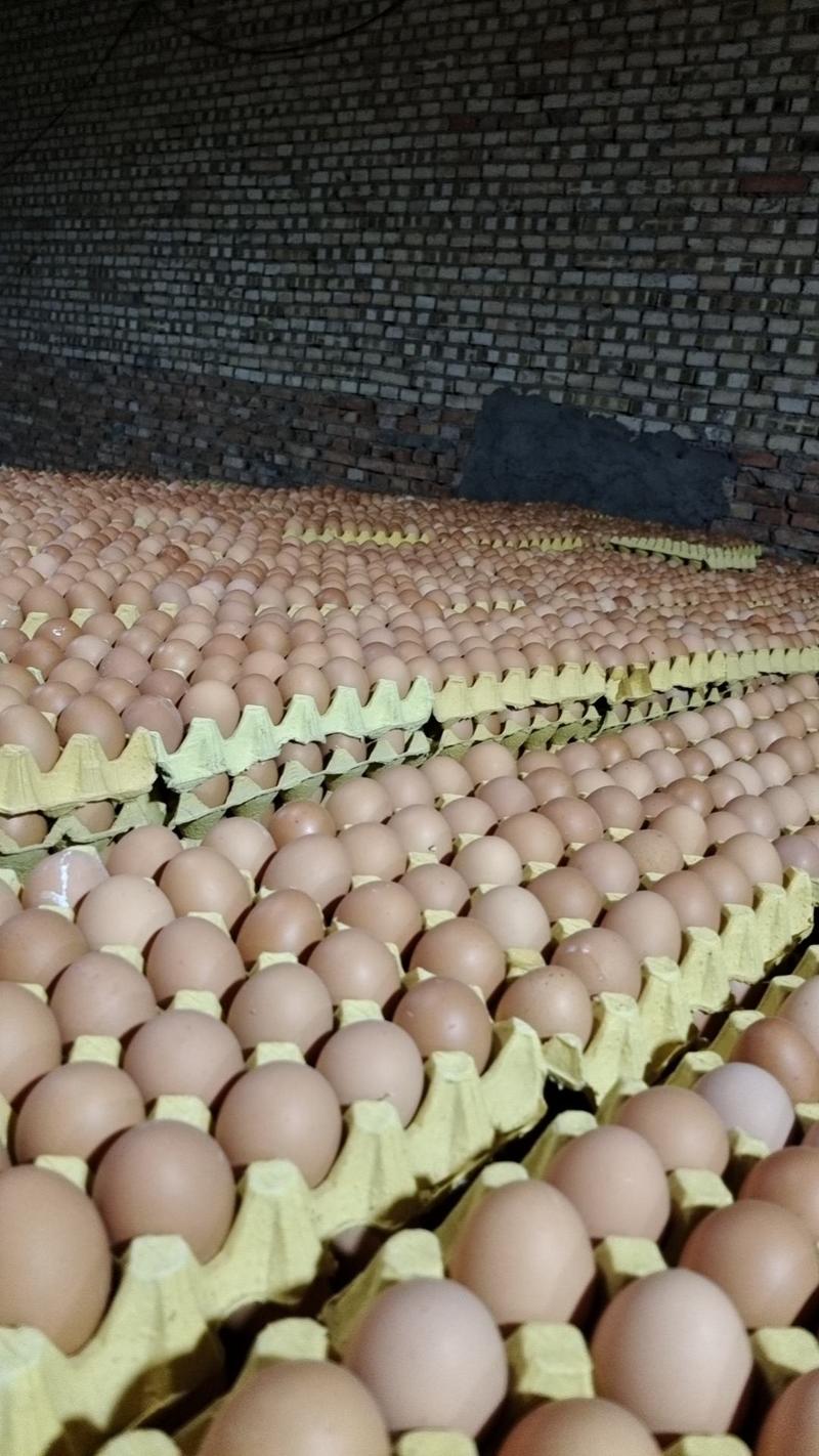 红壳鸡蛋（干净新鲜，无中间商）大中小码，规格全，价格优