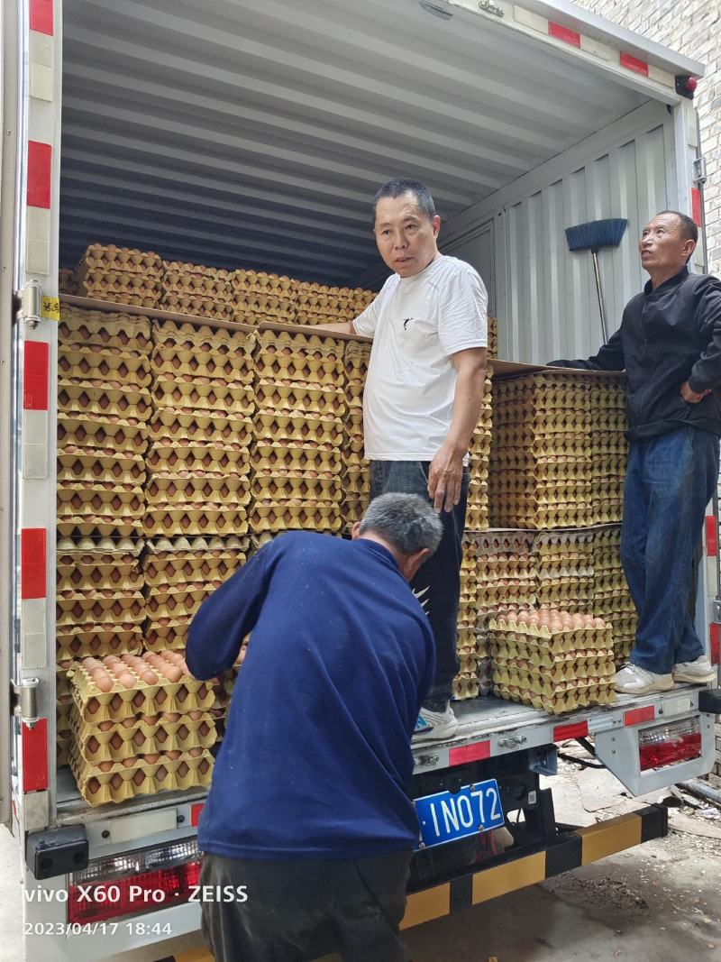 红壳鸡蛋（干净新鲜，无中间商）大中小码，规格全，价格优