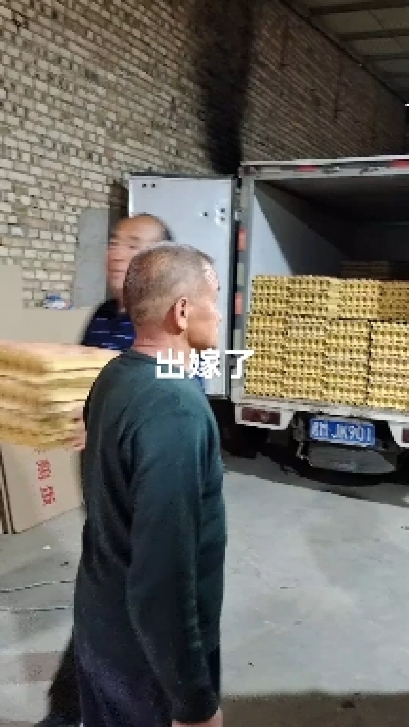 红壳鸡蛋（干净新鲜，无中间商）大中小码，规格全，价格优