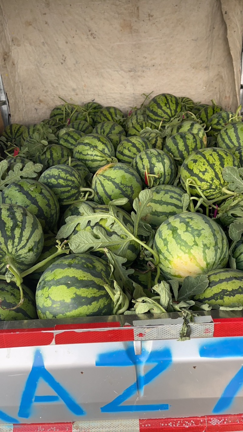 精品美都，大量上货中，支持各种规格打包专业团队