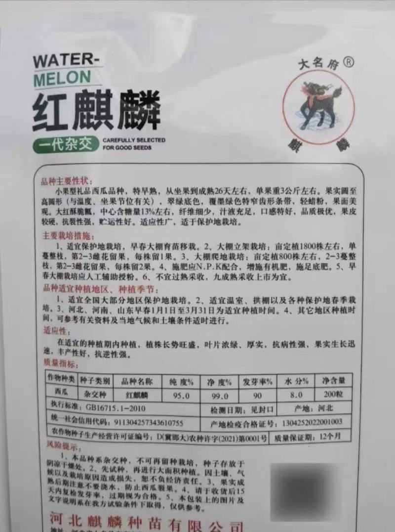 红麒麟礼品小西瓜种子迷你小圆瓜甜高糖绿皮红瓤多汁