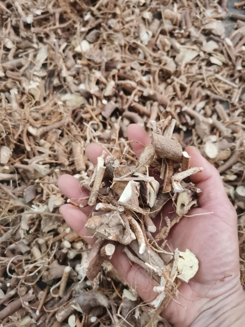 野生的五指毛桃，广西货，香香的，有货，大量批发