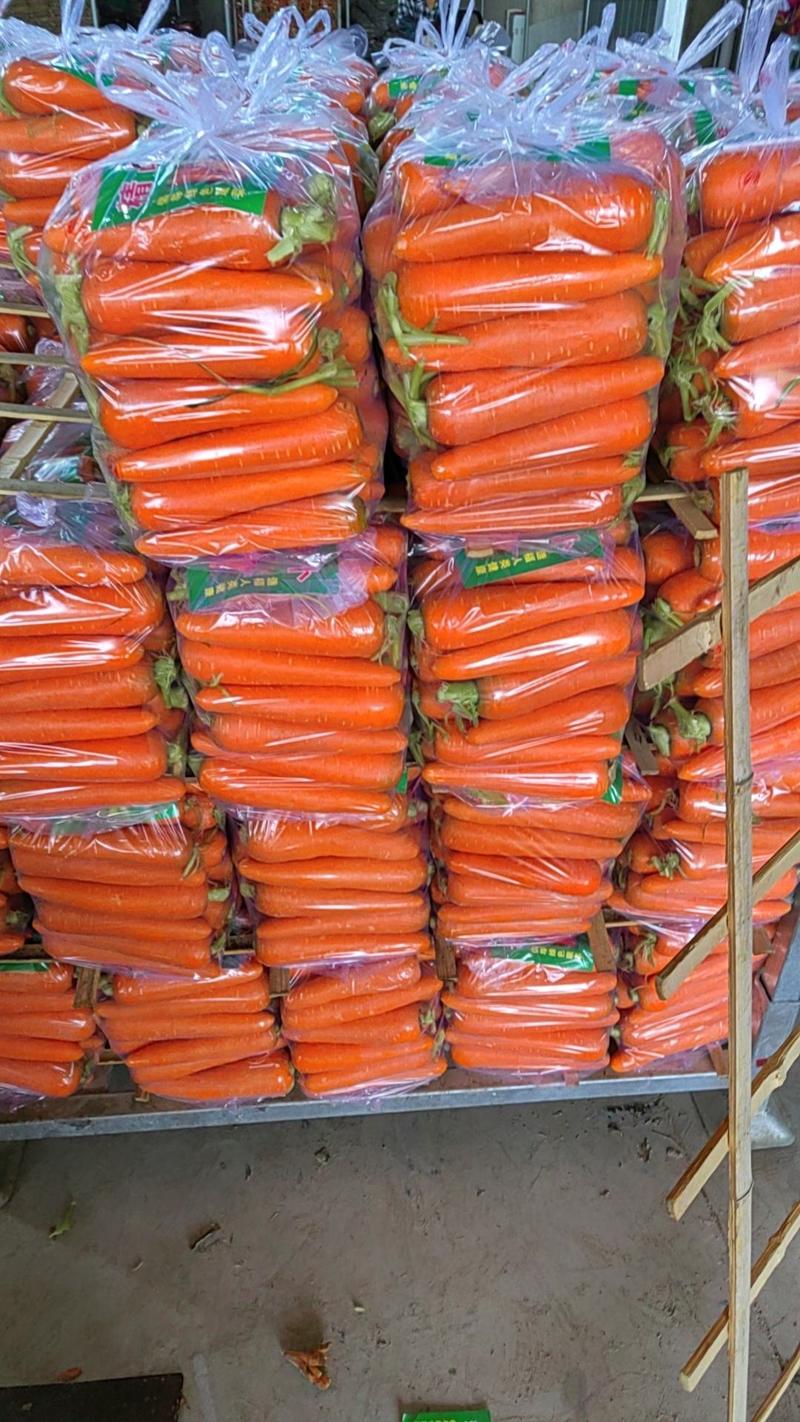 萧县胡萝卜基地水洗大量上市中，物美价廉，可全国发货