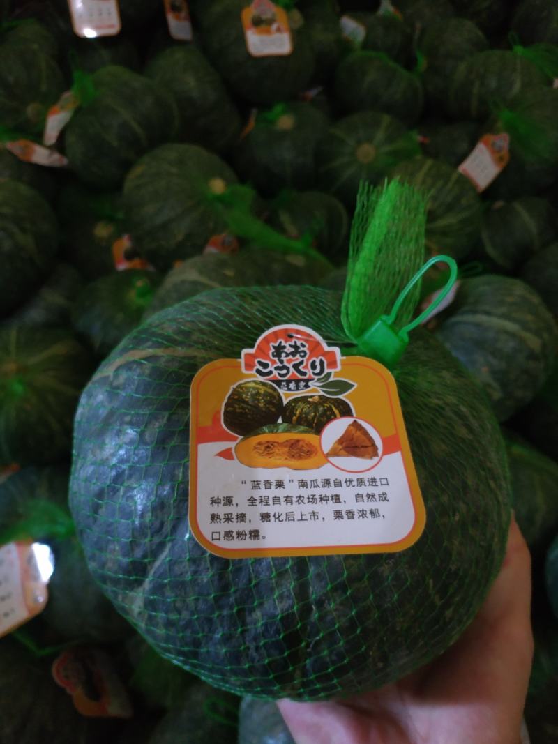 蓝香栗南瓜