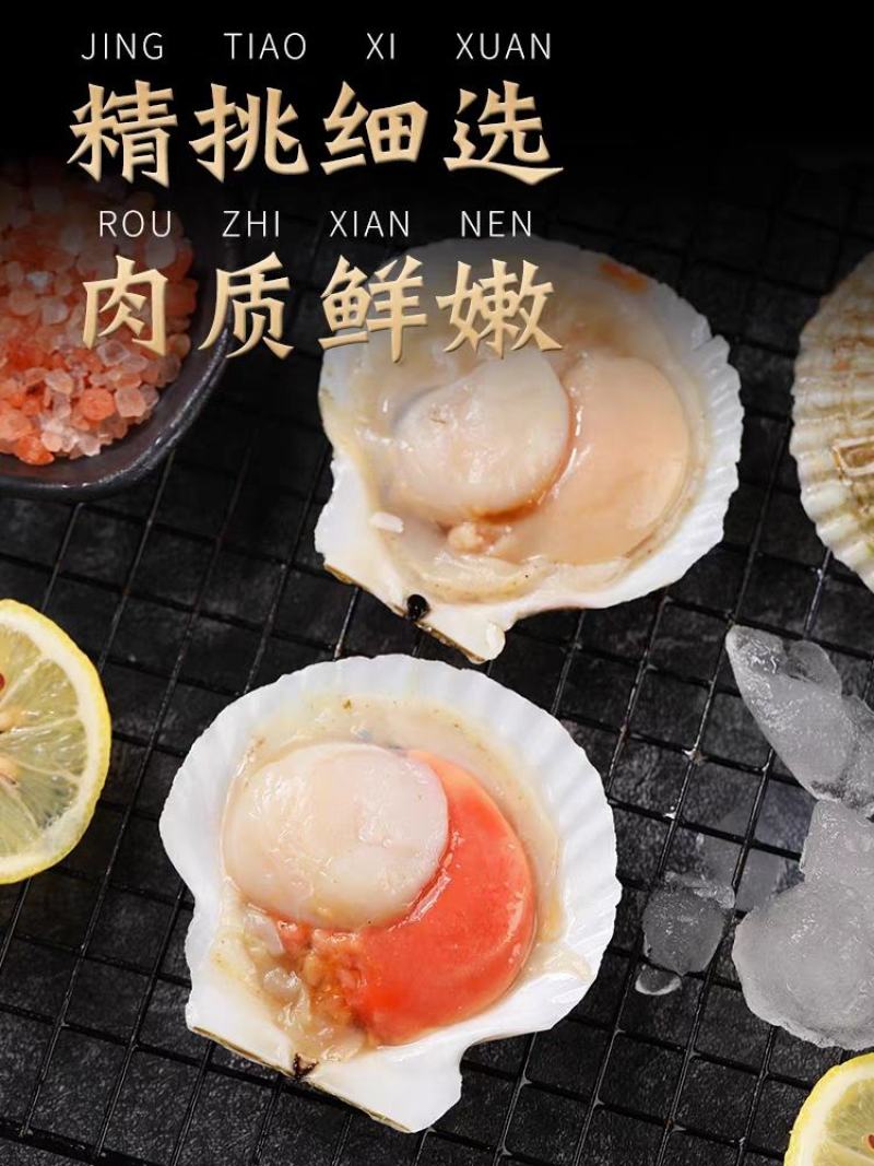 新鲜冷冻超大半壳虾夷扇贝鲜活速冻蒜蓉虾夏夷扇贝粉丝烧烤海
