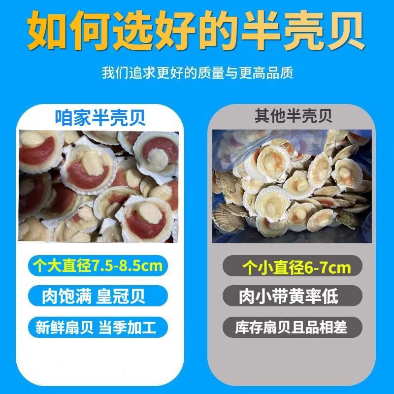 新鲜冷冻超大半壳虾夷扇贝鲜活速冻蒜蓉虾夏夷扇贝粉丝烧烤海