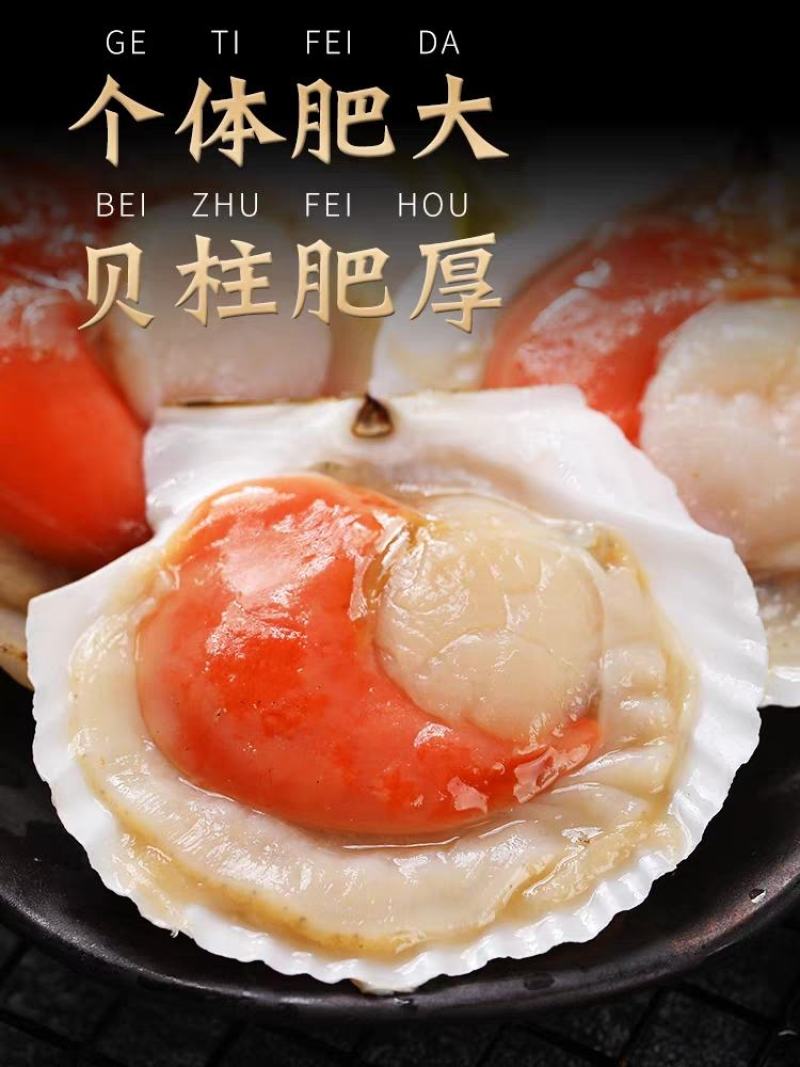 新鲜冷冻超大半壳虾夷扇贝鲜活速冻蒜蓉虾夏夷扇贝粉丝烧烤海