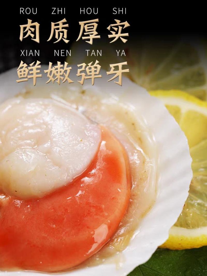 新鲜冷冻超大半壳虾夷扇贝鲜活速冻蒜蓉虾夏夷扇贝粉丝烧烤海