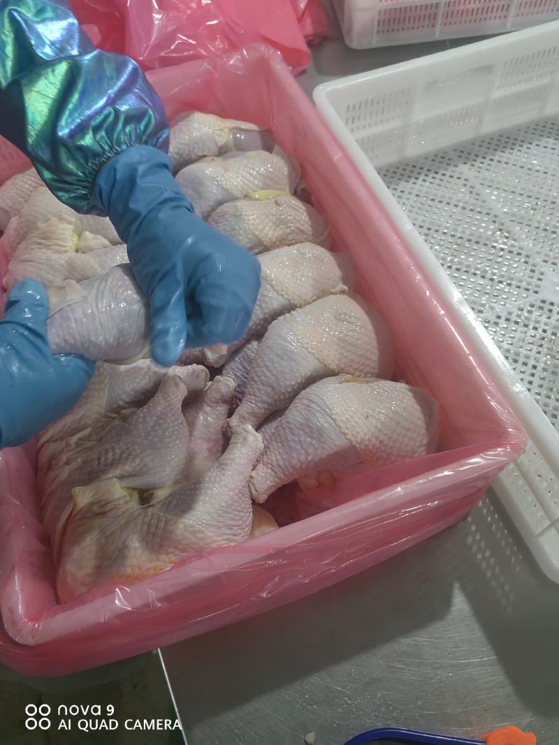 精品老鸡鸡腿，鸡边腿，专业分割老鸡产品，优质产品，产地直发