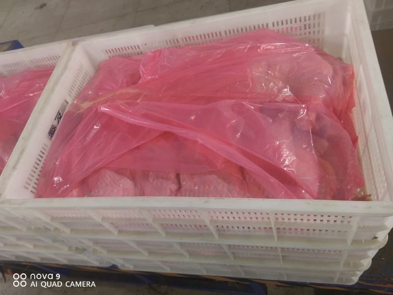 精品老鸡鸡腿，鸡边腿，专业分割老鸡产品，优质产品，产地直发