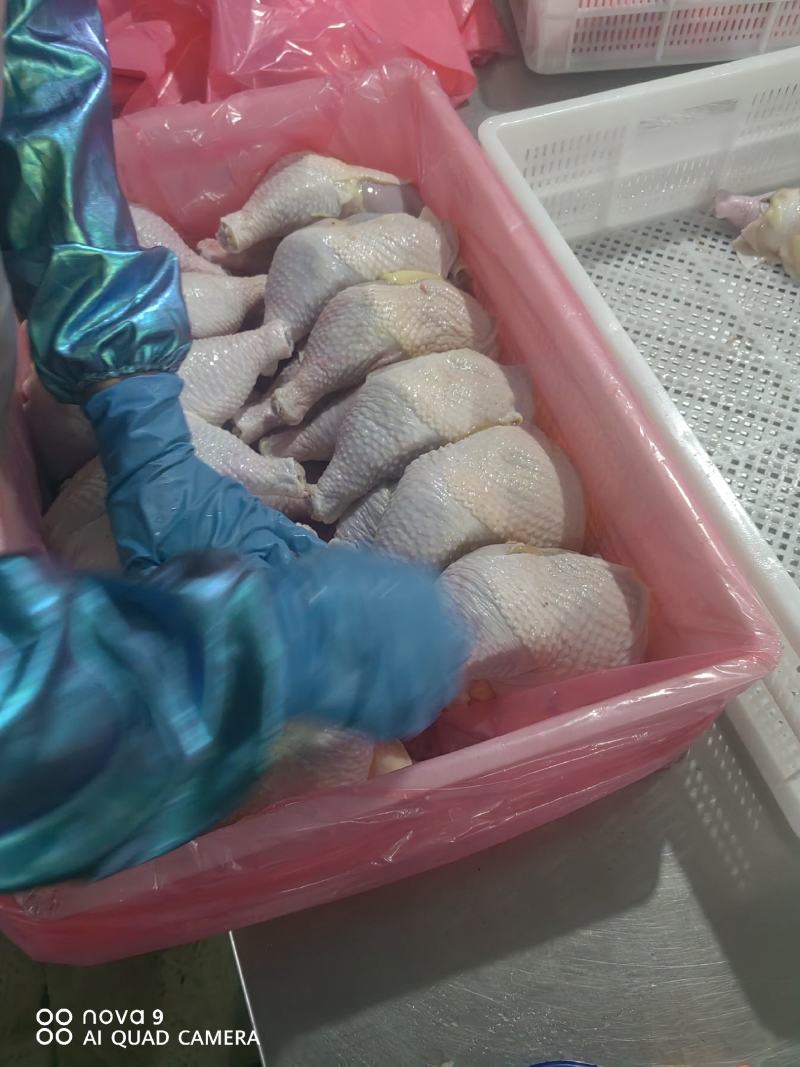 精品老鸡鸡腿，鸡边腿，专业分割老鸡产品，优质产品，产地直发