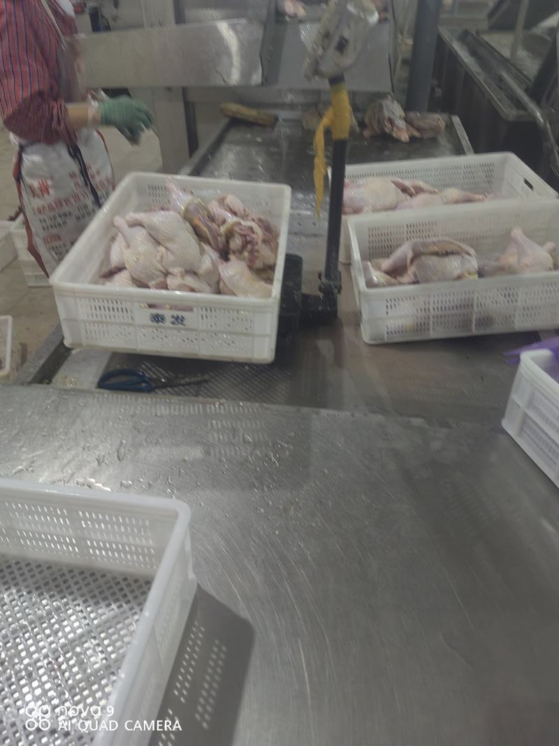 精品老鸡鸡腿，鸡边腿，专业分割老鸡产品，优质产品，产地直发