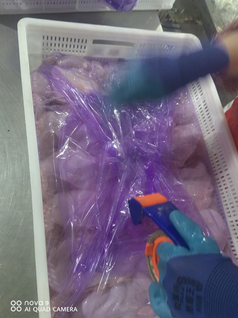 老鸡鸡胸肉，鸡排，专业分割老鸡产品，产品质量好正在热卖