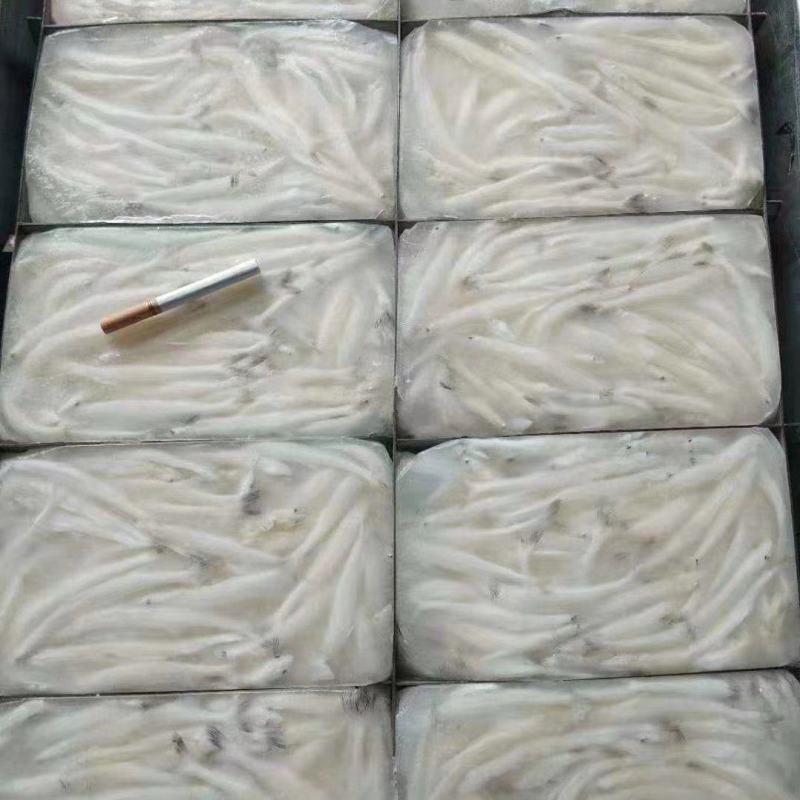 新鲜冷冻银鱼，，白板鱼，宝宝辅食