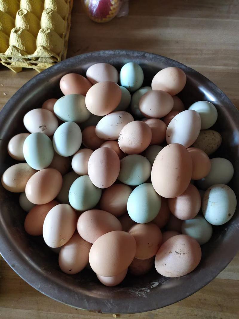 粮食养殖土鸡蛋重庆范围内速送第二日内可达