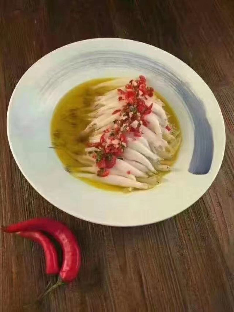 新鲜冷冻银鱼，，白板鱼，宝宝辅食