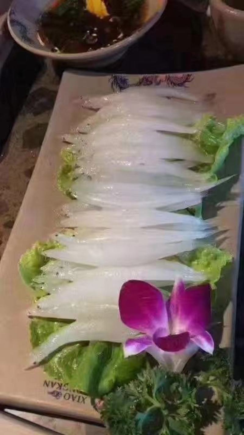 新鲜冷冻银鱼，，白板鱼，宝宝辅食