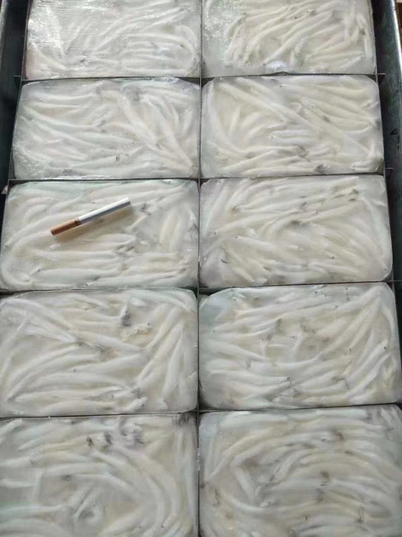 新鲜冷冻银鱼，，白板鱼，宝宝辅食