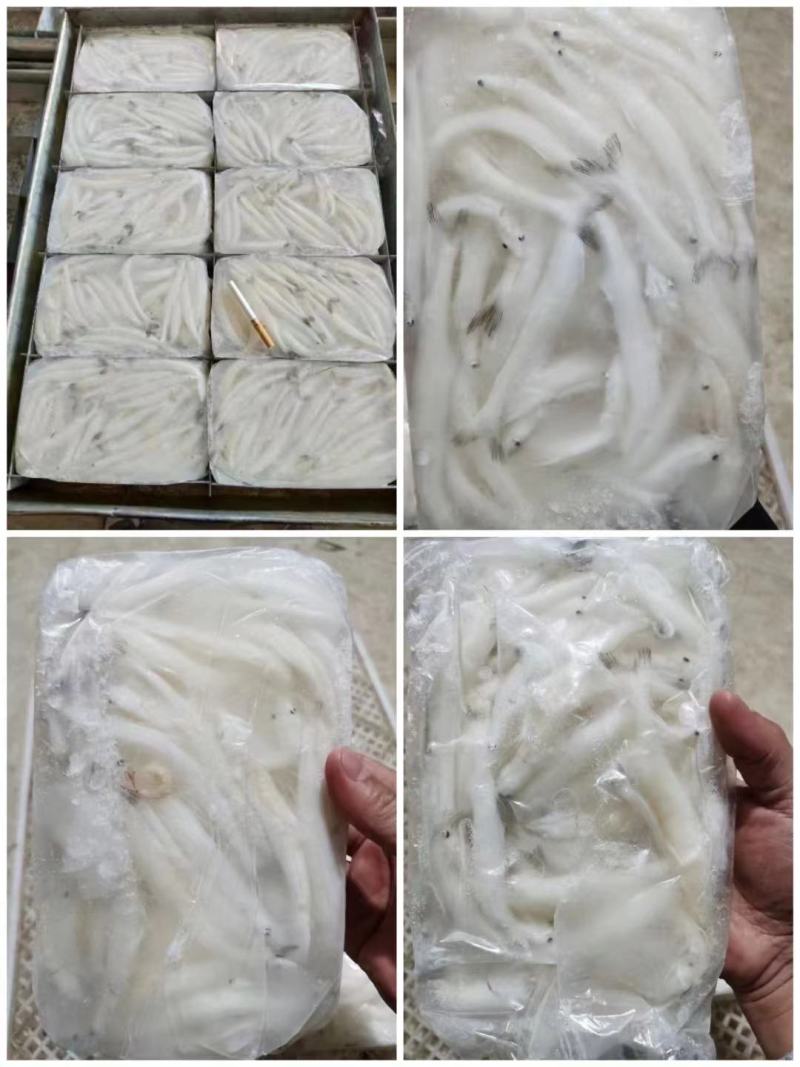 新鲜冷冻银鱼，，白板鱼，宝宝辅食