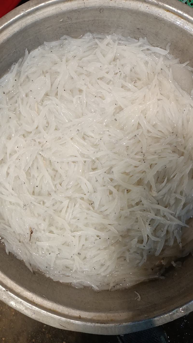 新鲜冷冻银鱼，，白板鱼，宝宝辅食