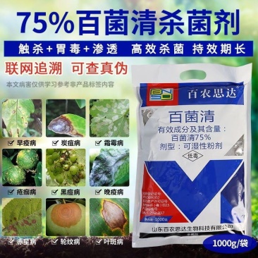 75%百菌清蓝粉农药果树蔬菜花卉大田斑点落叶病广谱杀菌剂