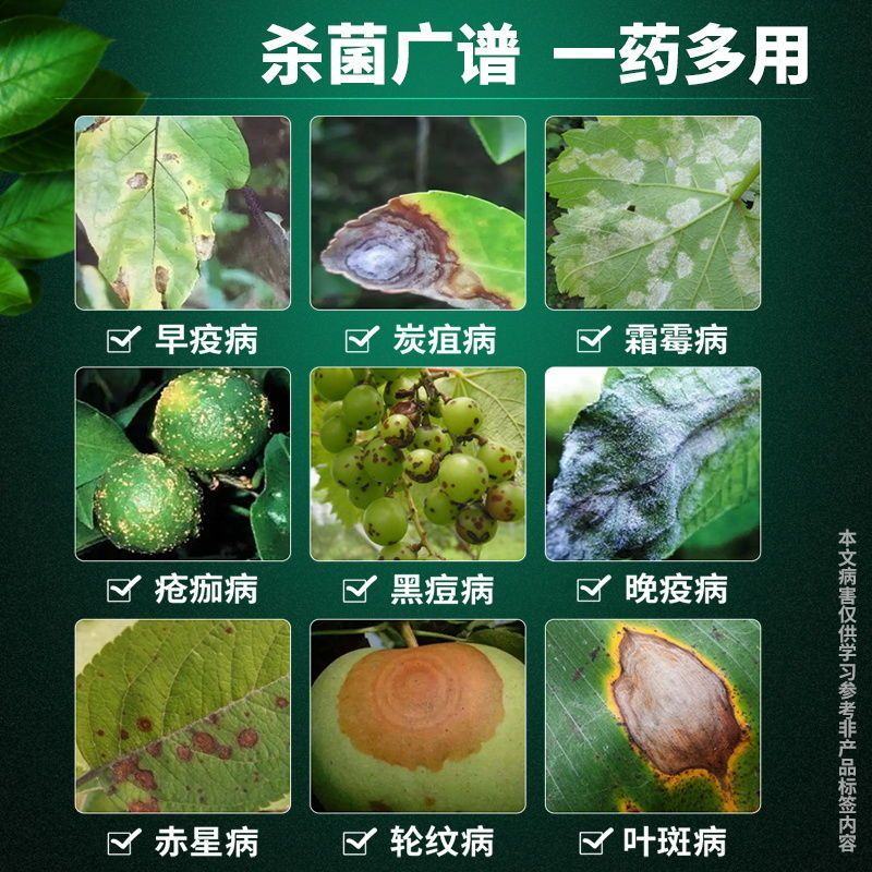 75%百菌清蓝粉农药果树蔬菜花卉大田斑点落叶病广谱杀菌剂