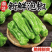 芜湖椒薄皮椒湖北辣椒泡椒精品辣椒可支持视频看货