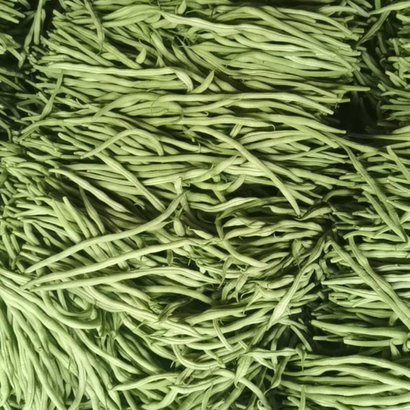 精品豆王