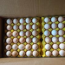 合肥直达配送土鸡蛋虫草蛋大码双色合肥市3箱起配送