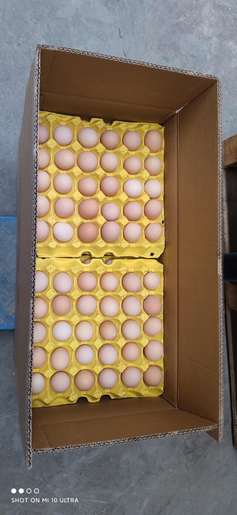 合肥直达配送土鸡蛋虫草蛋大码双色合肥市3箱起配送