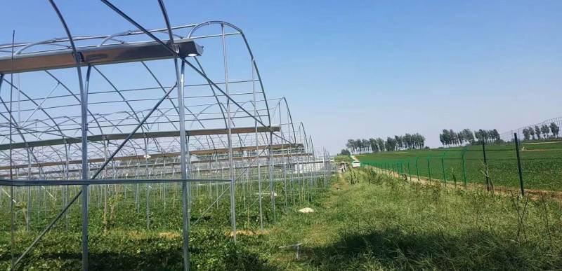 温室大棚现代全自动化蔬菜花卉种植大棚采光效果好