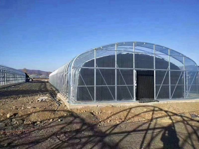 温室大棚现代全自动化蔬菜花卉种植大棚采光效果好