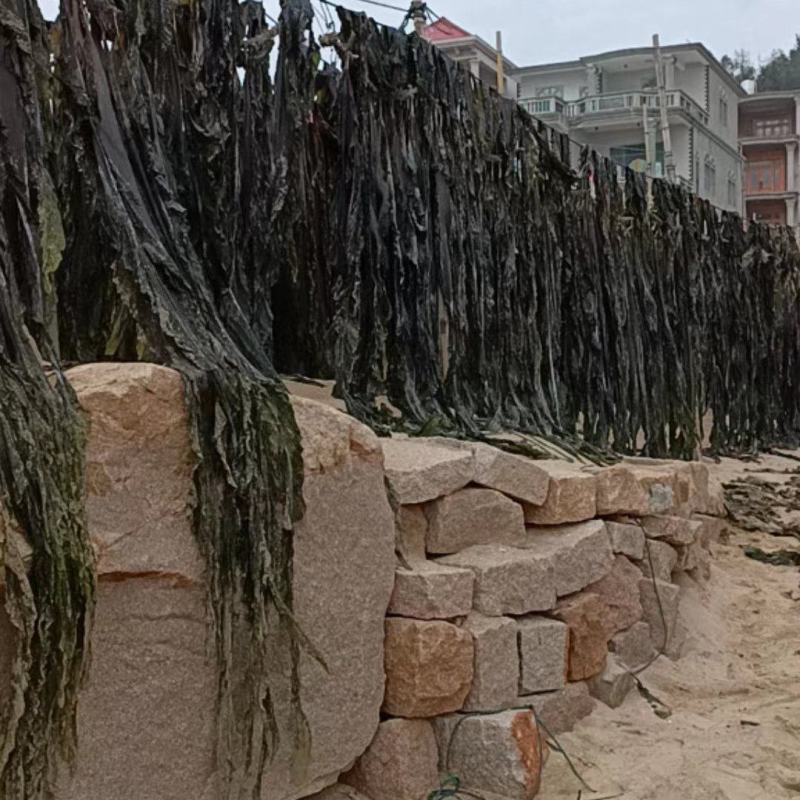 2023干海带批发
