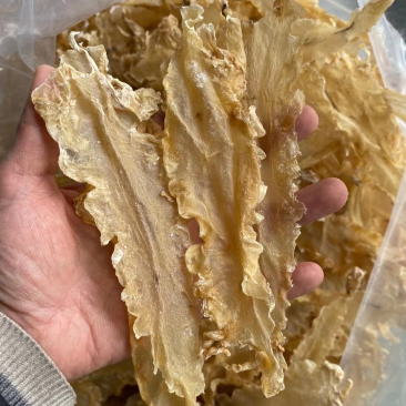 鱼胶花胶深海浅海鳕鱼胶无硫磺足干汕头特产