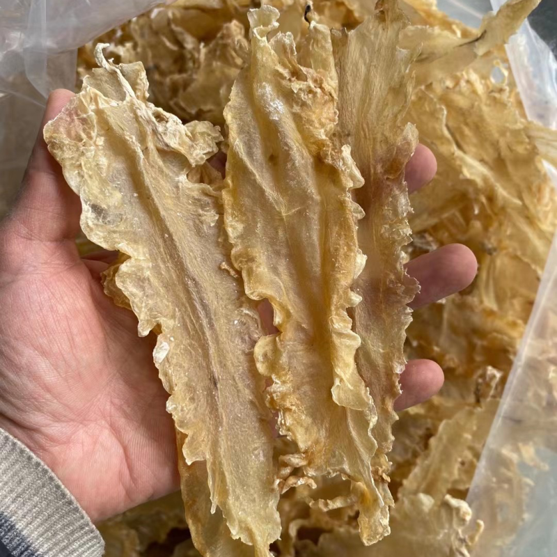 鱼胶花胶深海浅海鳕鱼胶无硫磺足干汕头特产