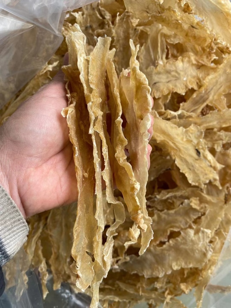 鱼胶花胶深海浅海鳕鱼胶无硫磺足干汕头特产