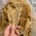 鱼胶花胶深海浅海鳕鱼胶无硫磺足干汕头特产