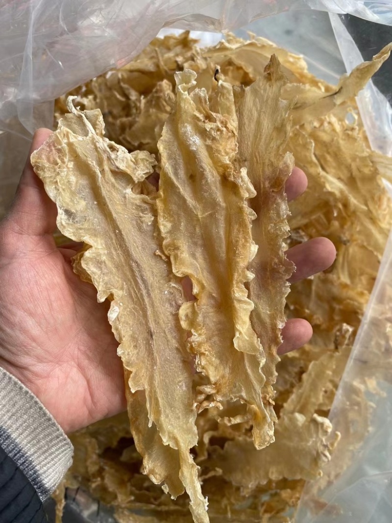 鱼胶花胶深海浅海鳕鱼胶无硫磺足干汕头特产