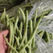 安徽大棚四季豆，架豆，当天现采，长期供货，欢迎订购