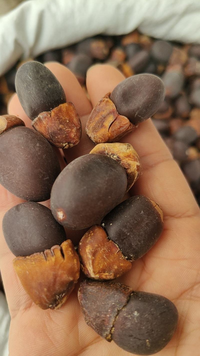 野生马牙果缅茄菩提子阴阳子，可全国发货