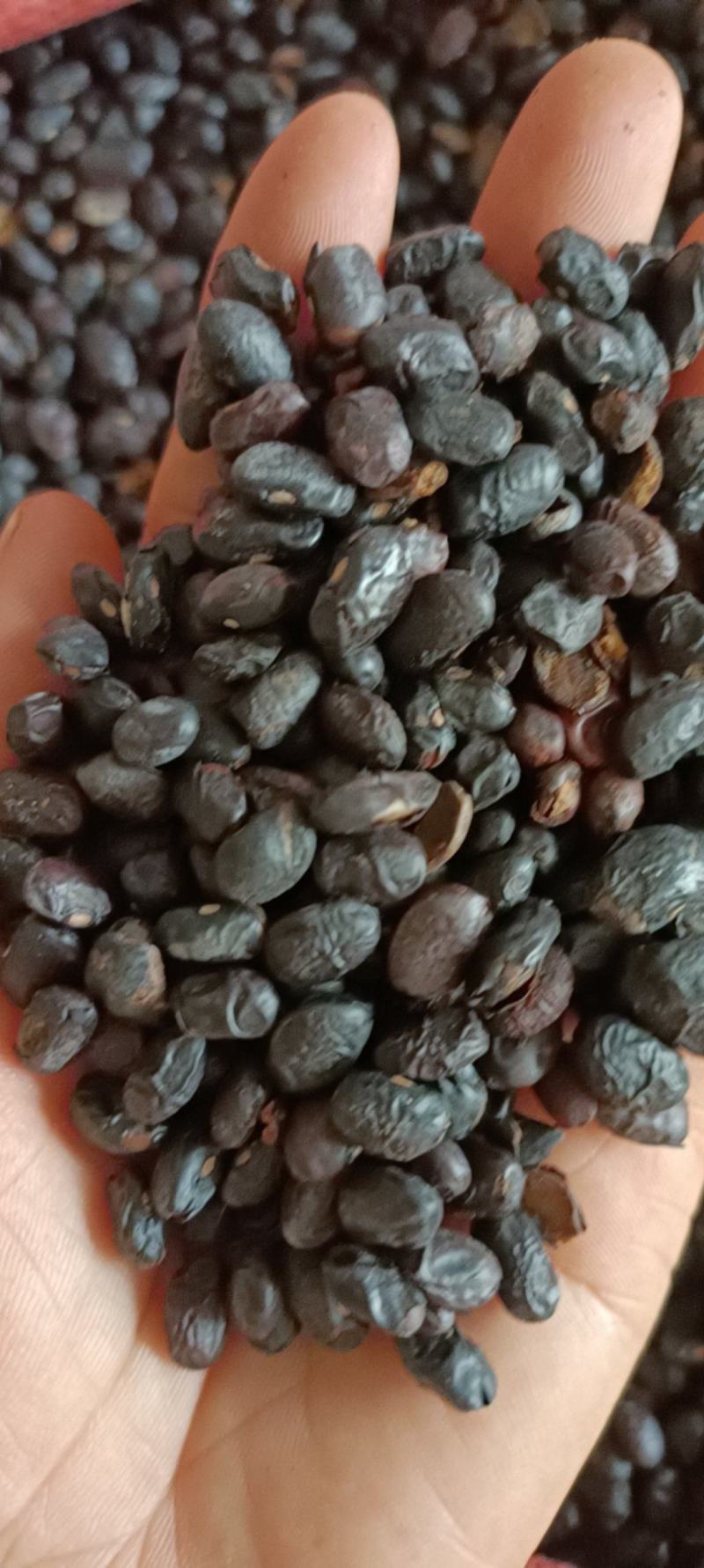 豆豉，货干无杂，足斤足量，欢迎选购，支持在线下单