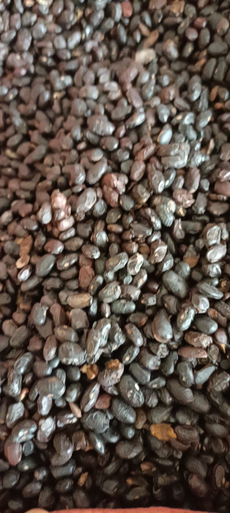 豆豉，货干无杂，足斤足量，欢迎选购，支持在线下单