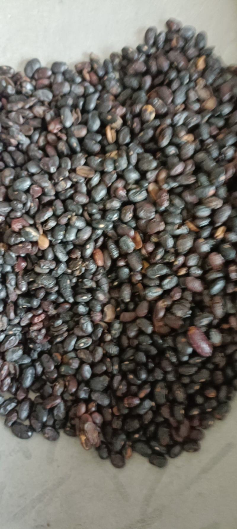 豆豉，货干无杂，足斤足量，欢迎选购，支持在线下单