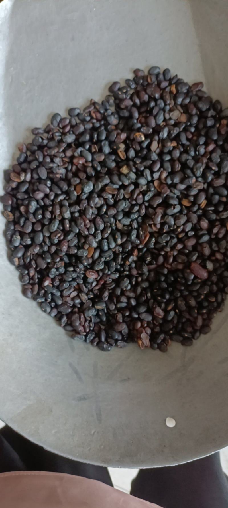 豆豉，货干无杂，足斤足量，欢迎选购，支持在线下单