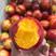 湖北油桃-突围桃品种多，产地货源充足，大量供应。随行就市