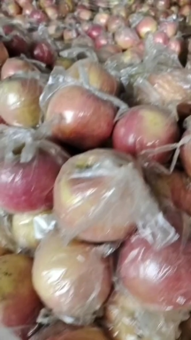 热销陕西礼泉纸加膜红富士大量出货，有需要的可以随时联系