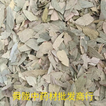番泻叶，实拍，有现货有现货24小时内发货