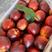 湖北红油桃货源充足，品种多，价钱便宜，随行就市！