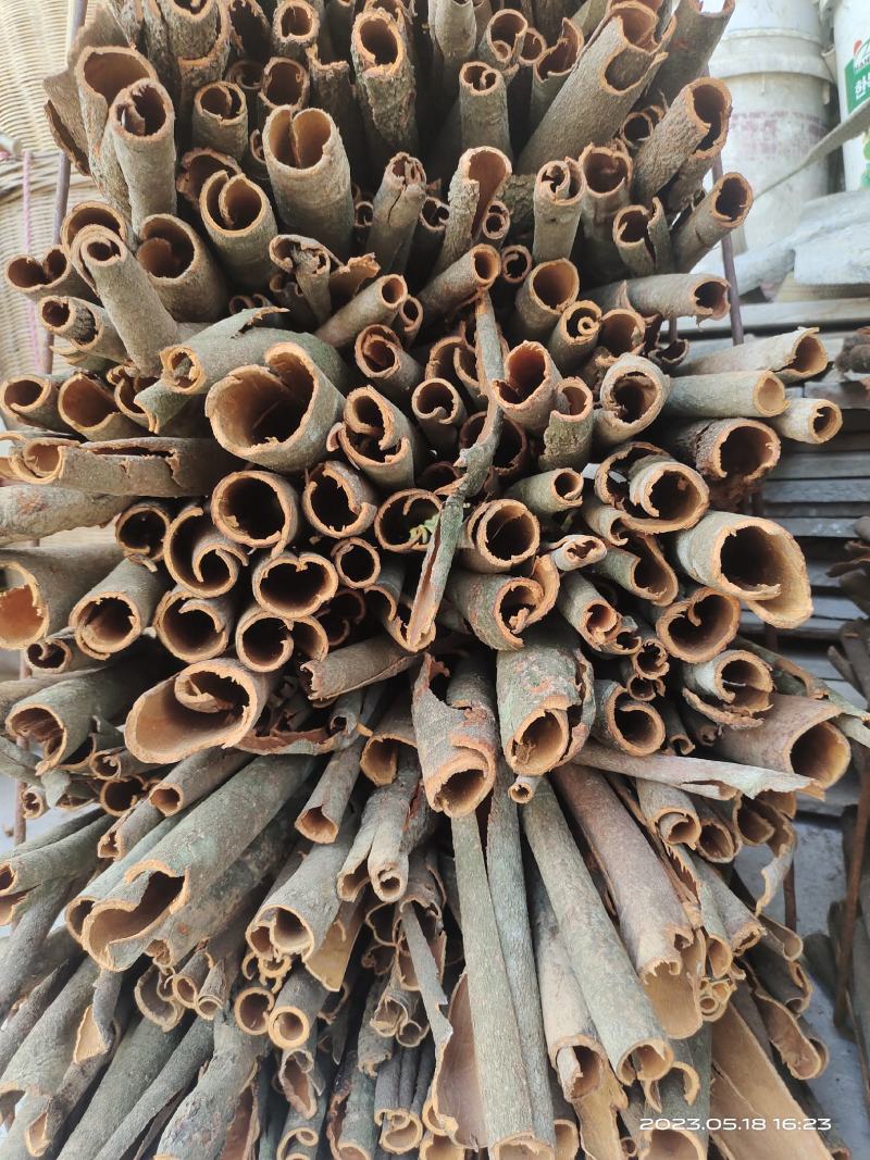 广东桂皮，我们这边镇上最起码有5万干的桂皮